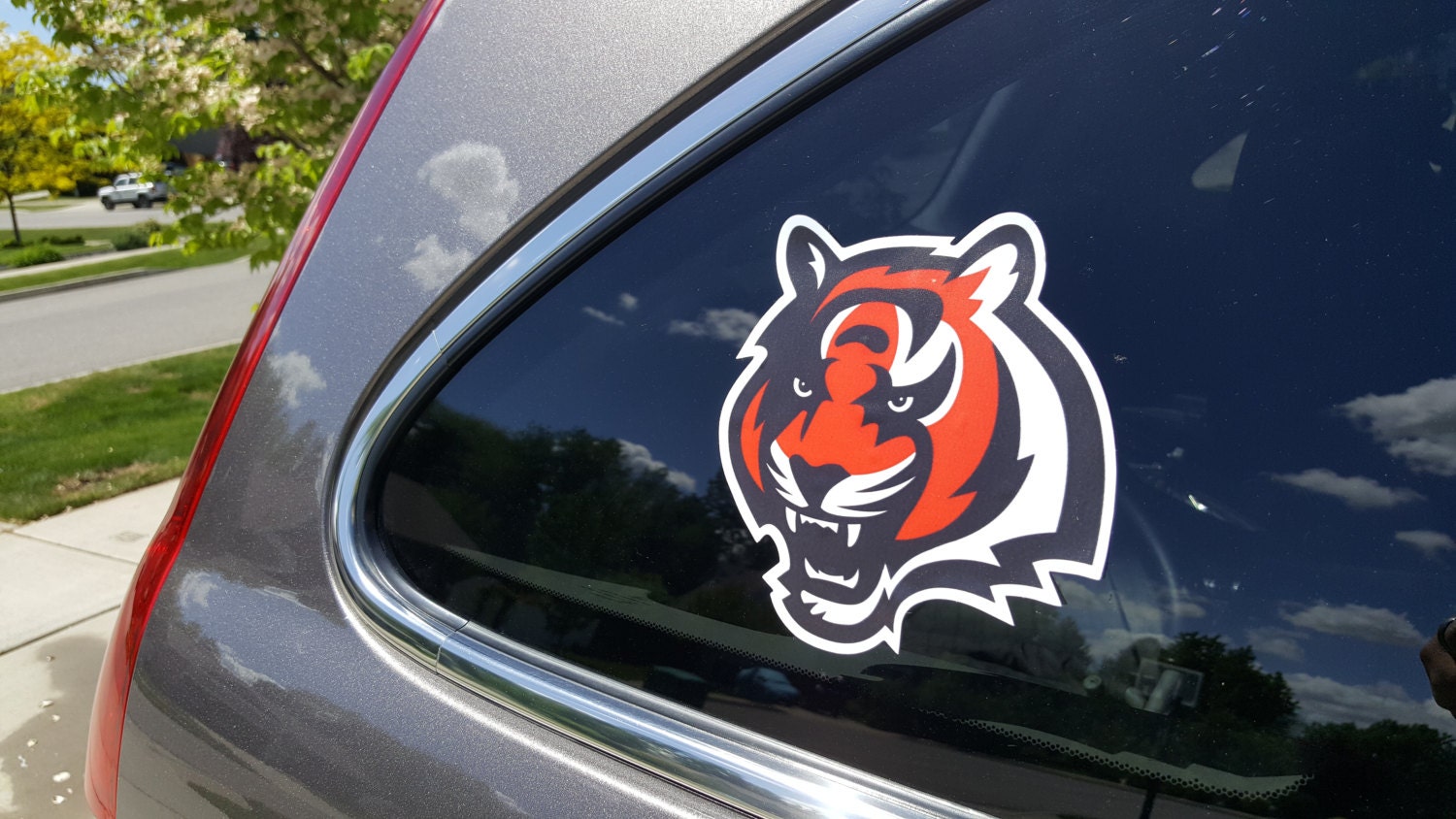 Cincinnati Bengals Limited Edition Vinyl Sticker Decal Free