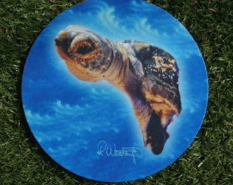 Baby Turtle Mousepad/Hotpad/Placemat/Centerpiece