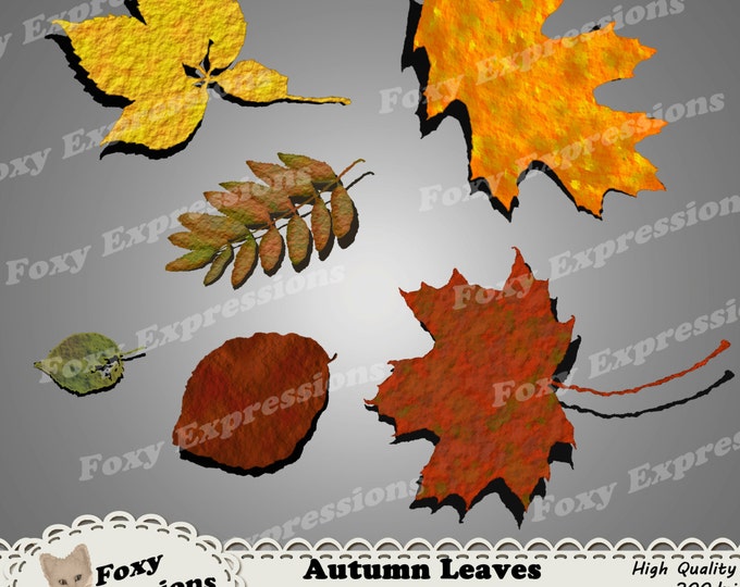 Autumn Leaves Digital Clipart in shades of red, orange, yellow, green and brown perfect for any project. Leaves come with drop shadow.