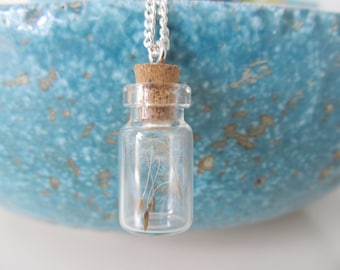 Make a wish necklace, bottle necklace, dandelion seed necklace