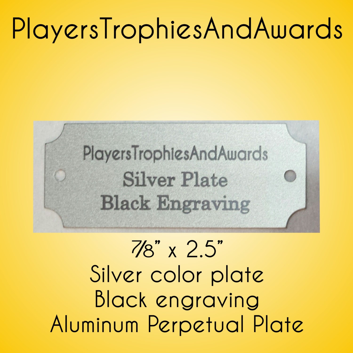 Silver Perpetual name plate 7/8 x 2.5 Black