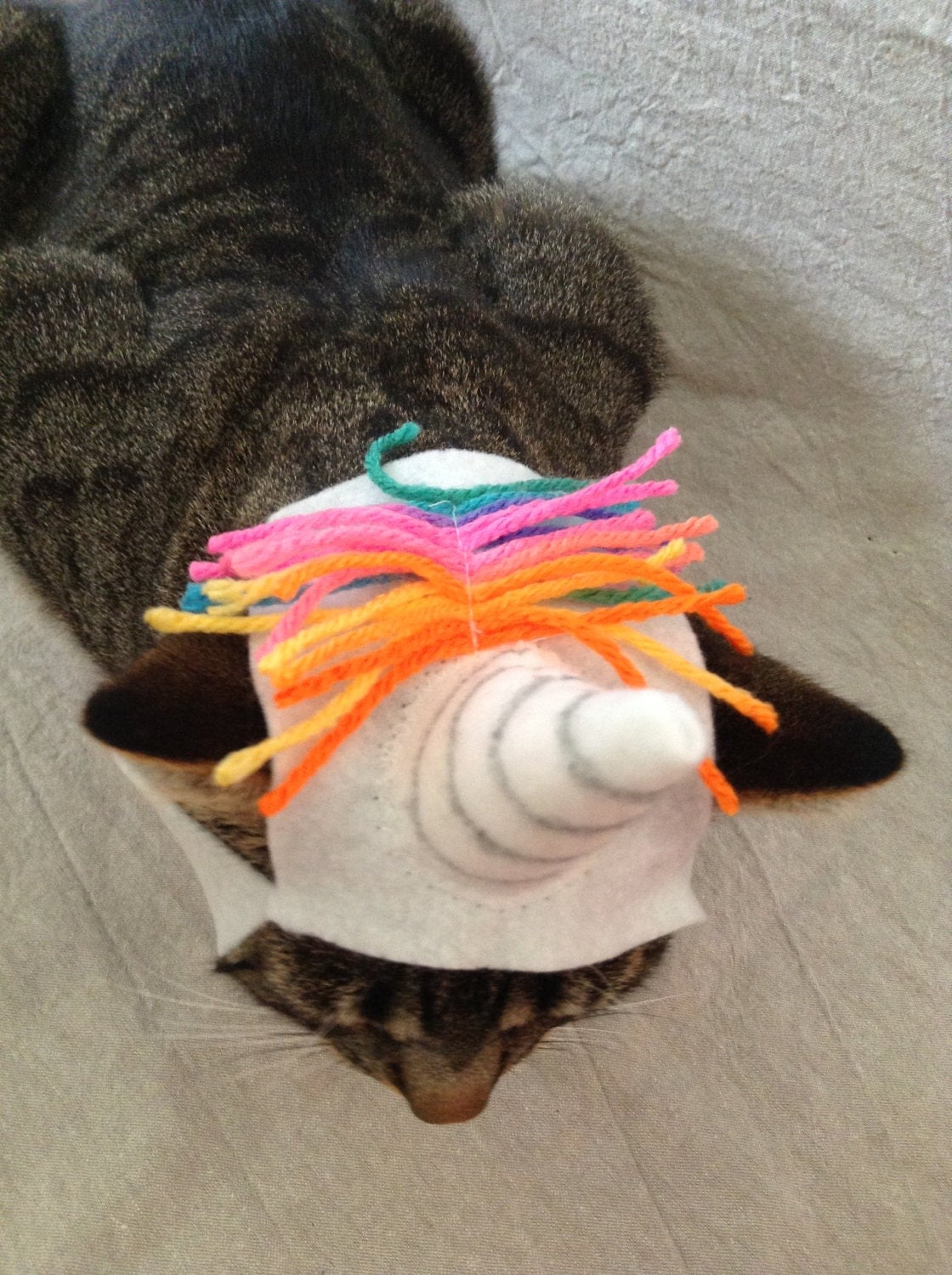 cat unicorn hat