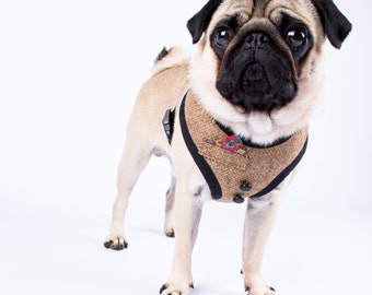 Pocket Dog Harness 