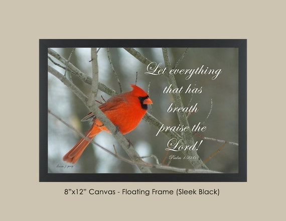 Azarel's Cardinal with Bible verse or Coleridge Quote