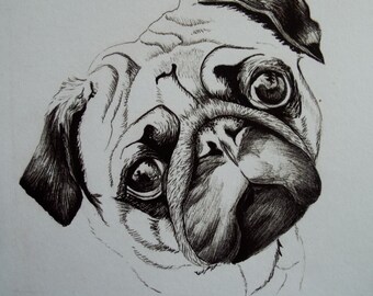 Pug drawing | Etsy