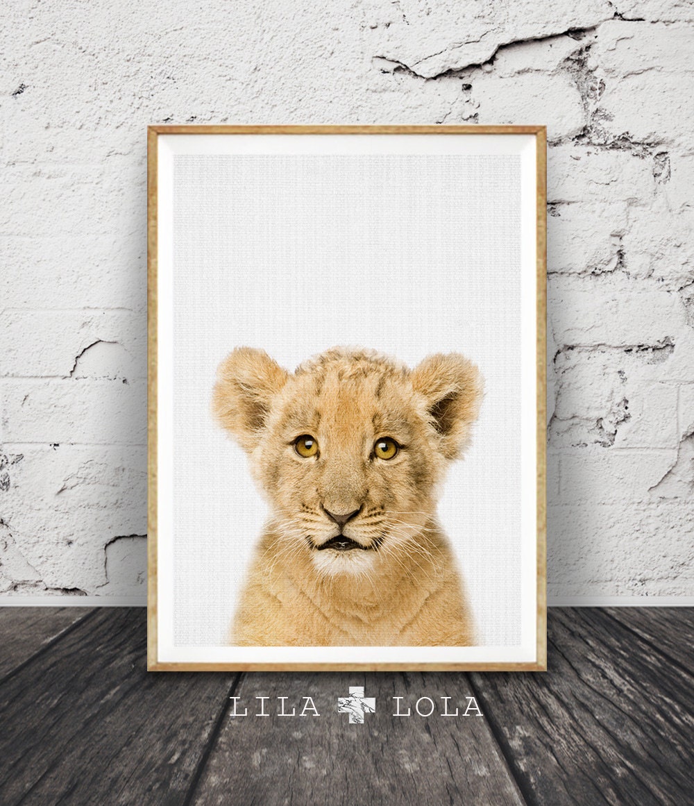 Lion Cub Baby Print Wall Art Nursery Decor Safari Animal