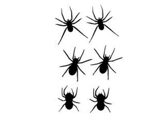 Spider Stickers - Spider Decals - Bug Stickers - Happy Halloween Joke - Free Shipping - Halloween Prank - Scary Spiders - Creepy Spiders