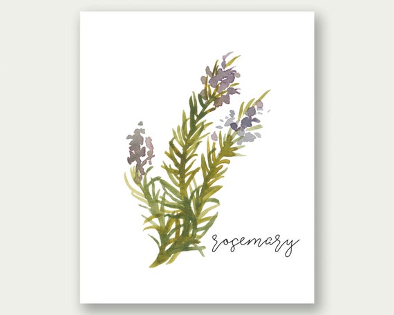 sale rosemary printable herb wall art herb print rosemary