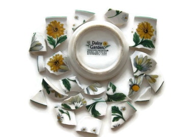 Little Daisies- Mosaic Tiles-1 Plate Back- Daisy Garden- Hand cut Tiles- Broken Plate- 21 pieces- #138