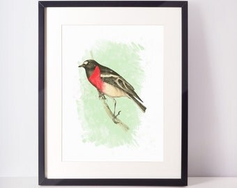 Red bird print bird painting bird illustration bird art print bird watercolor instant download digital print