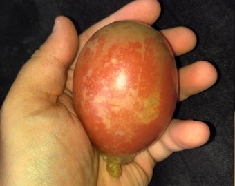Average-Give Dough Squishy Stress Ball (Various Colors Available)