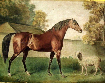 George Stubbs Horse Sheep Rare On Canvas Museum Quality Ready to Hang Dungannon