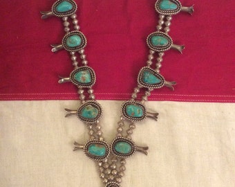 navajo squash sterling