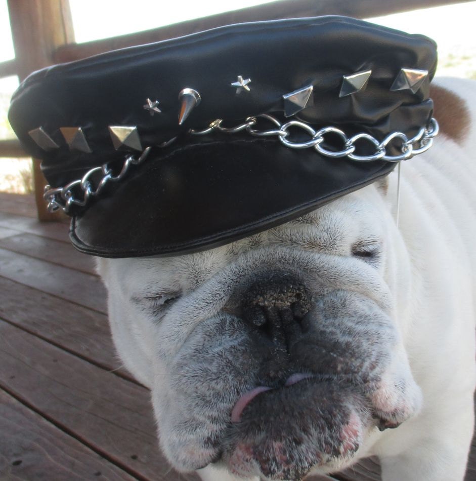 english bulldog hat