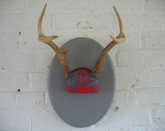 Vintage Mounted Deer Antlers - Repurposed - Plaid