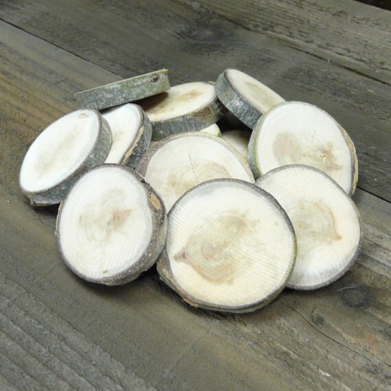 Reclaimed Aspen Wood Limb Chips Weathered Log Disk Diy Blank