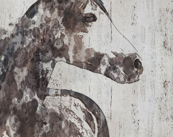 Rocky Horse. Extra Large Horse, Unique Horse Wall Decor, Brown Rustic Horse, Large Contemporary Canvas Art Print up to 72" by Irena Orlov