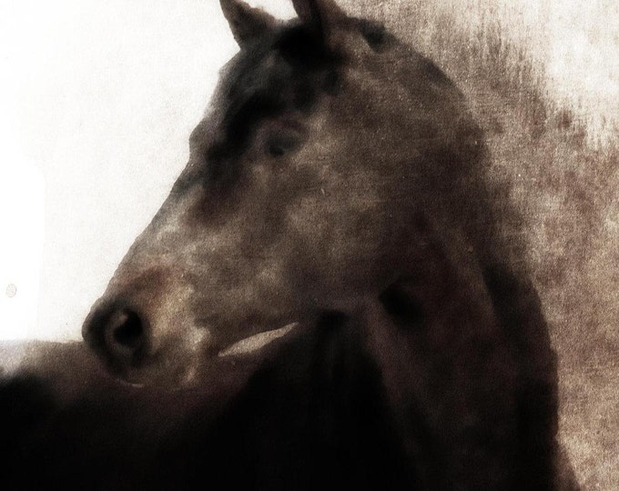 Spirit. Extra Large Horse, Unique Horse Wall Decor, Brown Black Rustic Horse, Large Contemporary Canvas Art Print up to 72" by Irena Orlov