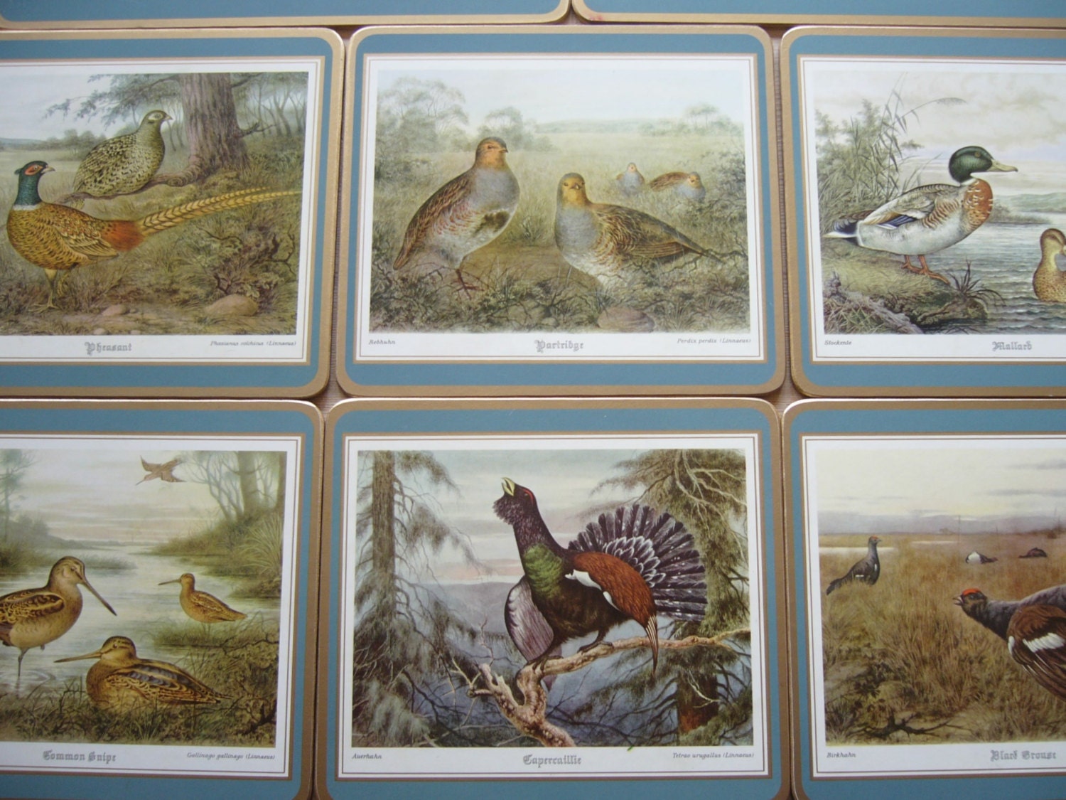 Vintage Pimpernel placemats and coasters with game bird