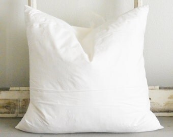 20" x 20" Pillow Insert
