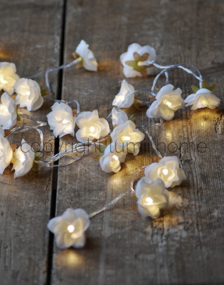 Snow White Rose Flower Fairy string warm white LED Lights