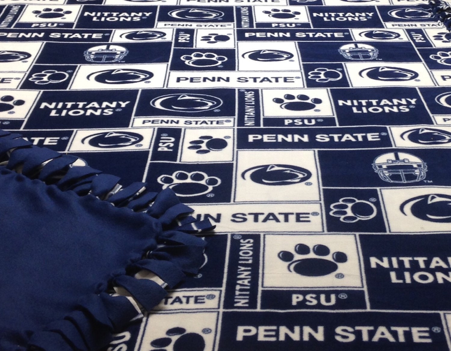 Penn State Nittany Lions Frosty Fleece Blanket - 14133234