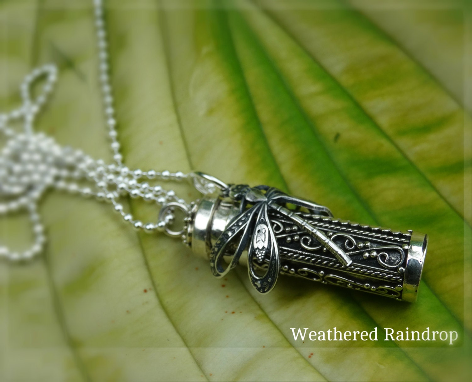AOBOCO Dragonfly Urn Necklace For Ashes Sterling Silver Memorial Keepsake Cremation Jewelry Gifts With Filling Tool 4551328