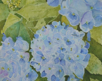 Blue Hydrangeas fine art framed watercolor painting original floral watercolors impressionism flowers hydrangea blue green pink watercolours