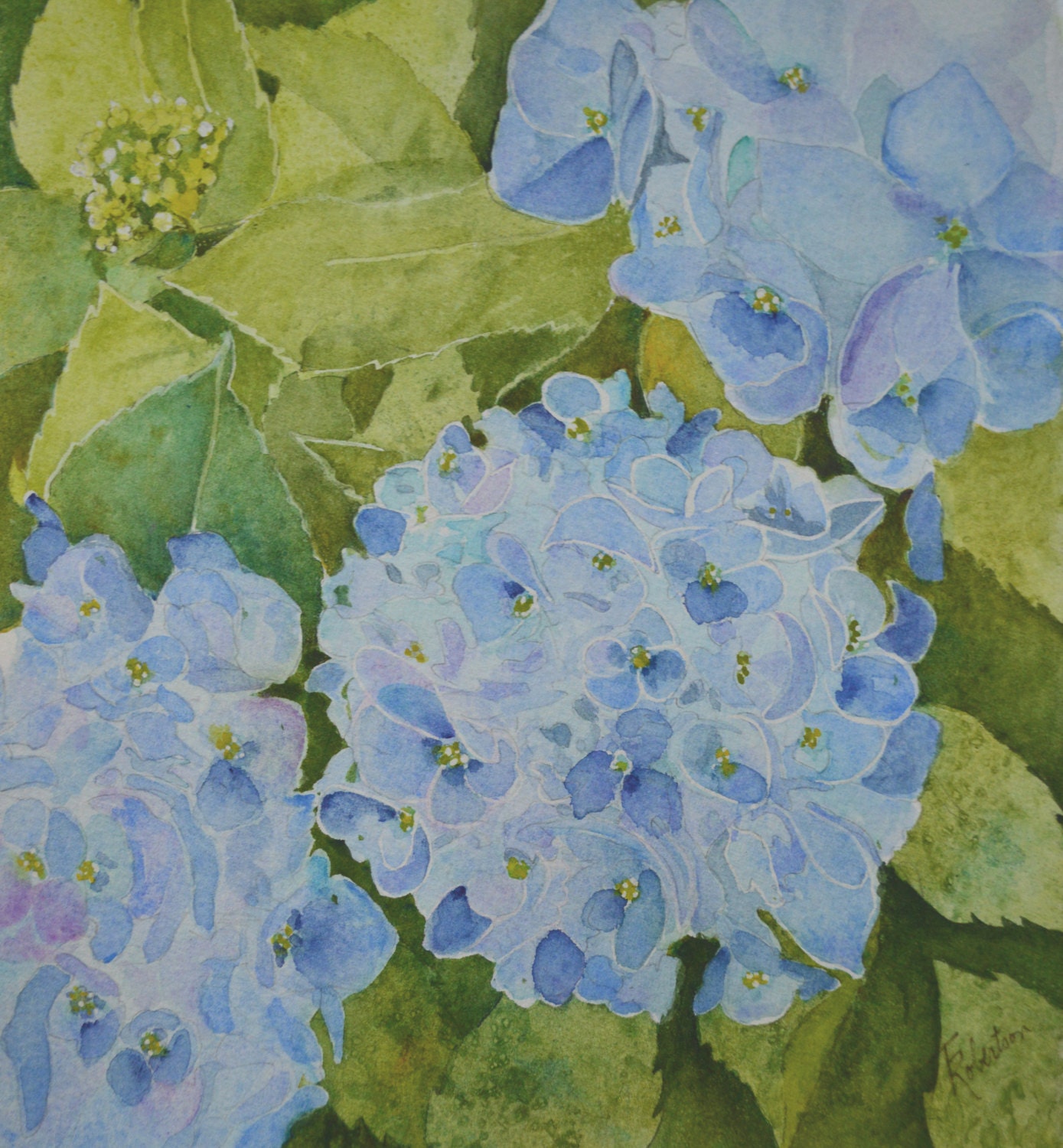 Blue Hydrangeas fine art framed watercolor painting original