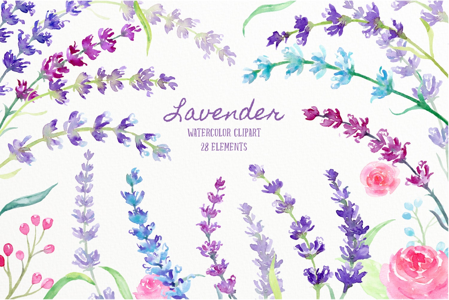 Watercolor Clipart Lavender sprig of lavender lavender