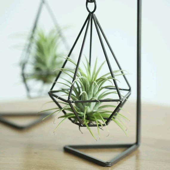 Hanging Geometric Metal Air Plant Holder