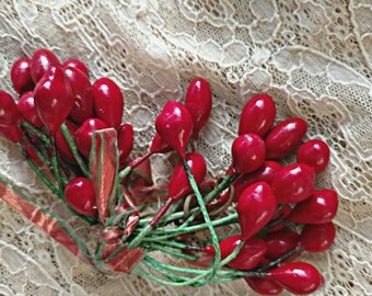 Vintage 1940s Holly Berry Pip Stamens 17 Double End Lacquered Composite