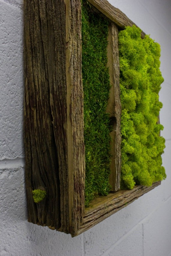 Twinz wasser kostenlos grüne wandkunst moos und von flowerboxetsy