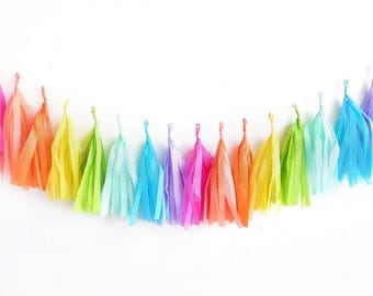 Rainbow Tassel Garland - fringe tissue banner | oh shiny paper co