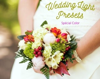 Pack of 30 Wedding Lightroom Presets Light Colors
