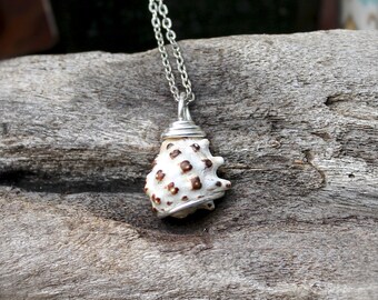 Seashell Necklace from Hawaii - Hawaiian Jewelry - Hawaii Necklace - Ocean Inspired Shell Jewelry made in Hawaii - Hawaiian Shell Pendant