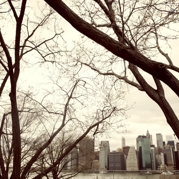 Brooklyn Promenade Trees
