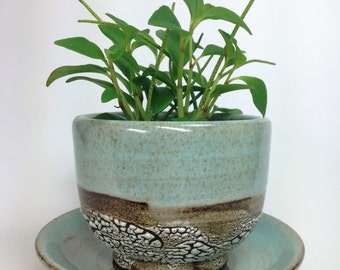 MADE TO ORDER, Succulent Planter, Ceramic Flower Pot, Pottery Planter, Green Cactus Pot, Stoneware Planter, Air Plant Planter, Crawl Glaze