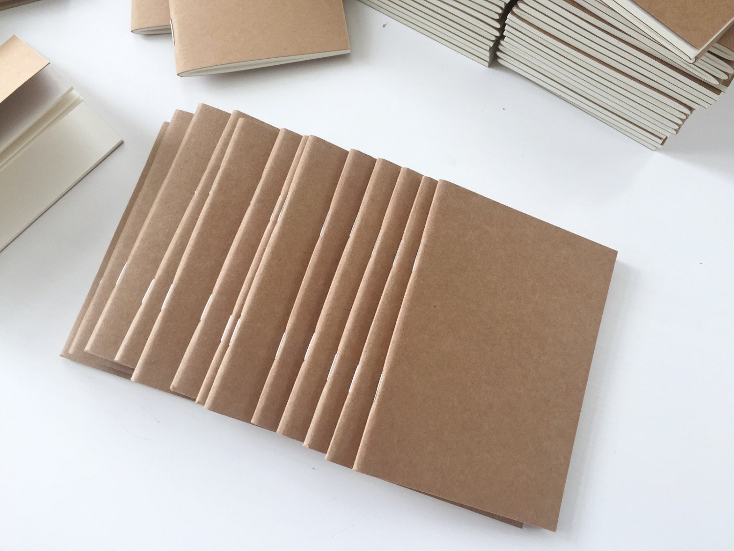 Pack of 13 Passport size notebooks / Buy more and save