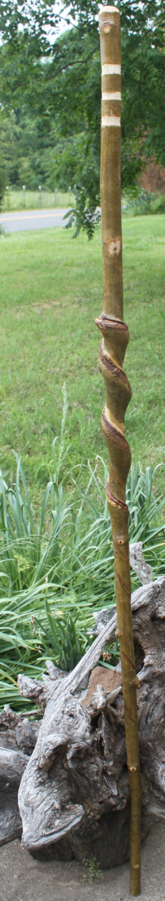 Twisted Sycamore Wood Walking Stick Hiking Stick Staff