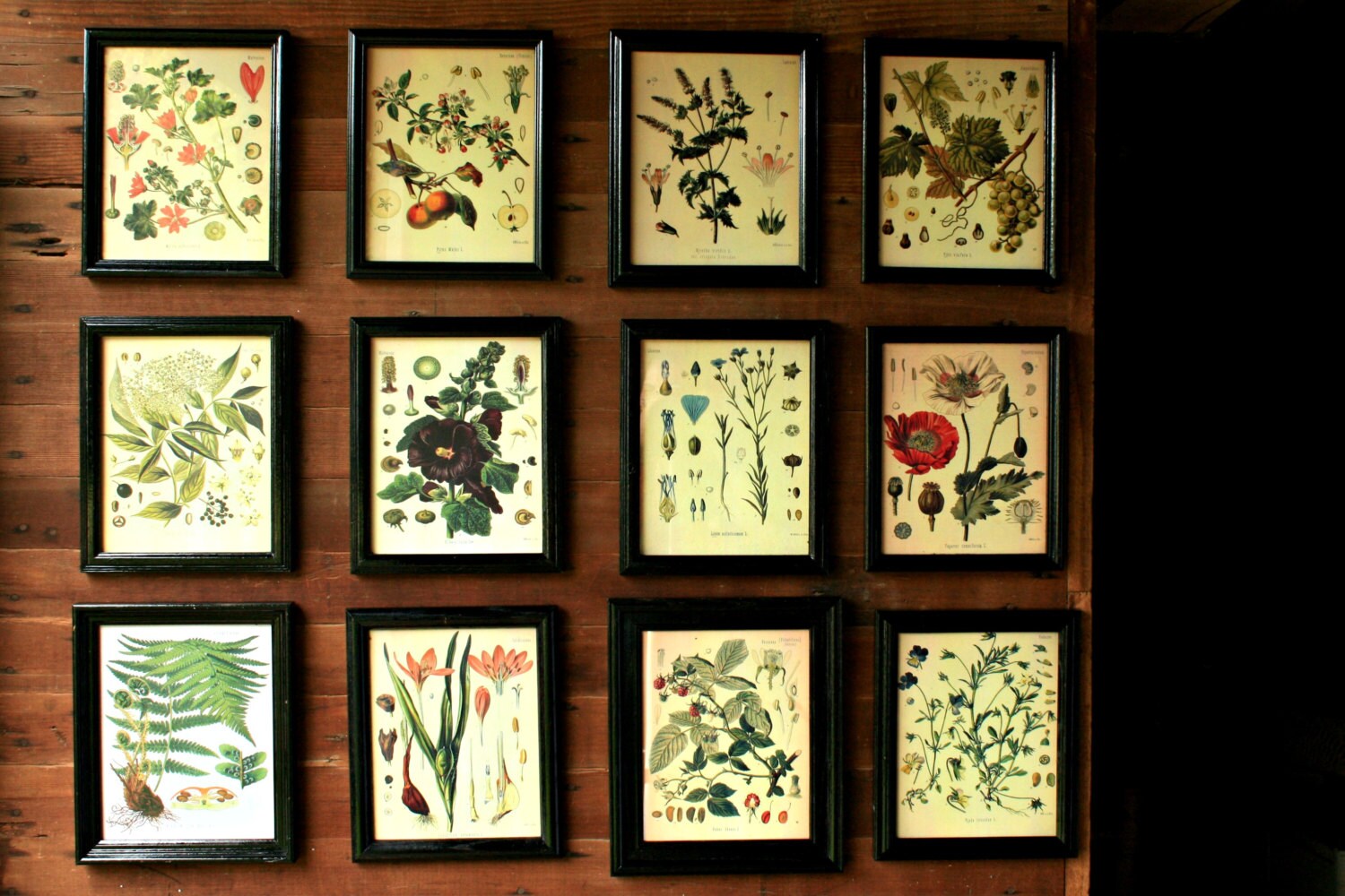 Set of 12 Botanical Prints Botanical by OurVintageBungalow on Etsy