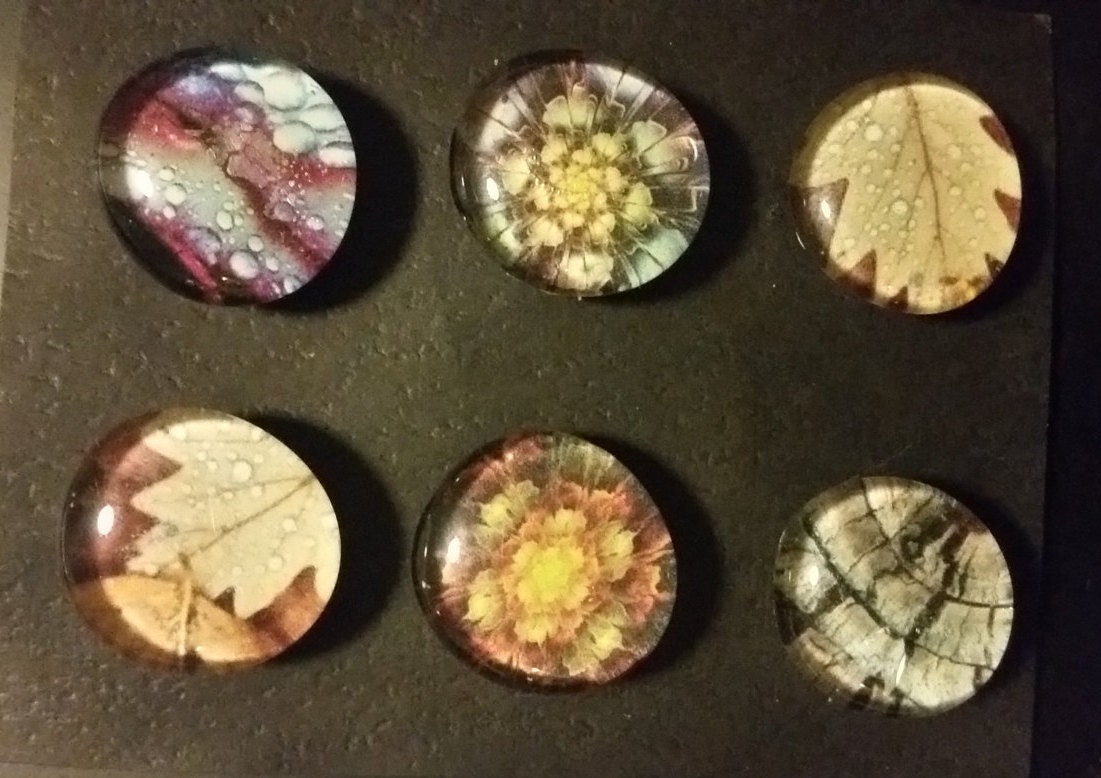 Strong glass Nature refrigerator