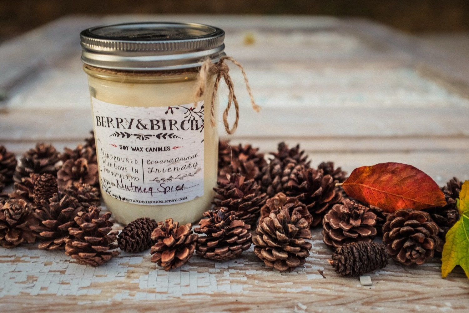 16 oz SOY wax candleHandpouredMason JarPhthalate Free