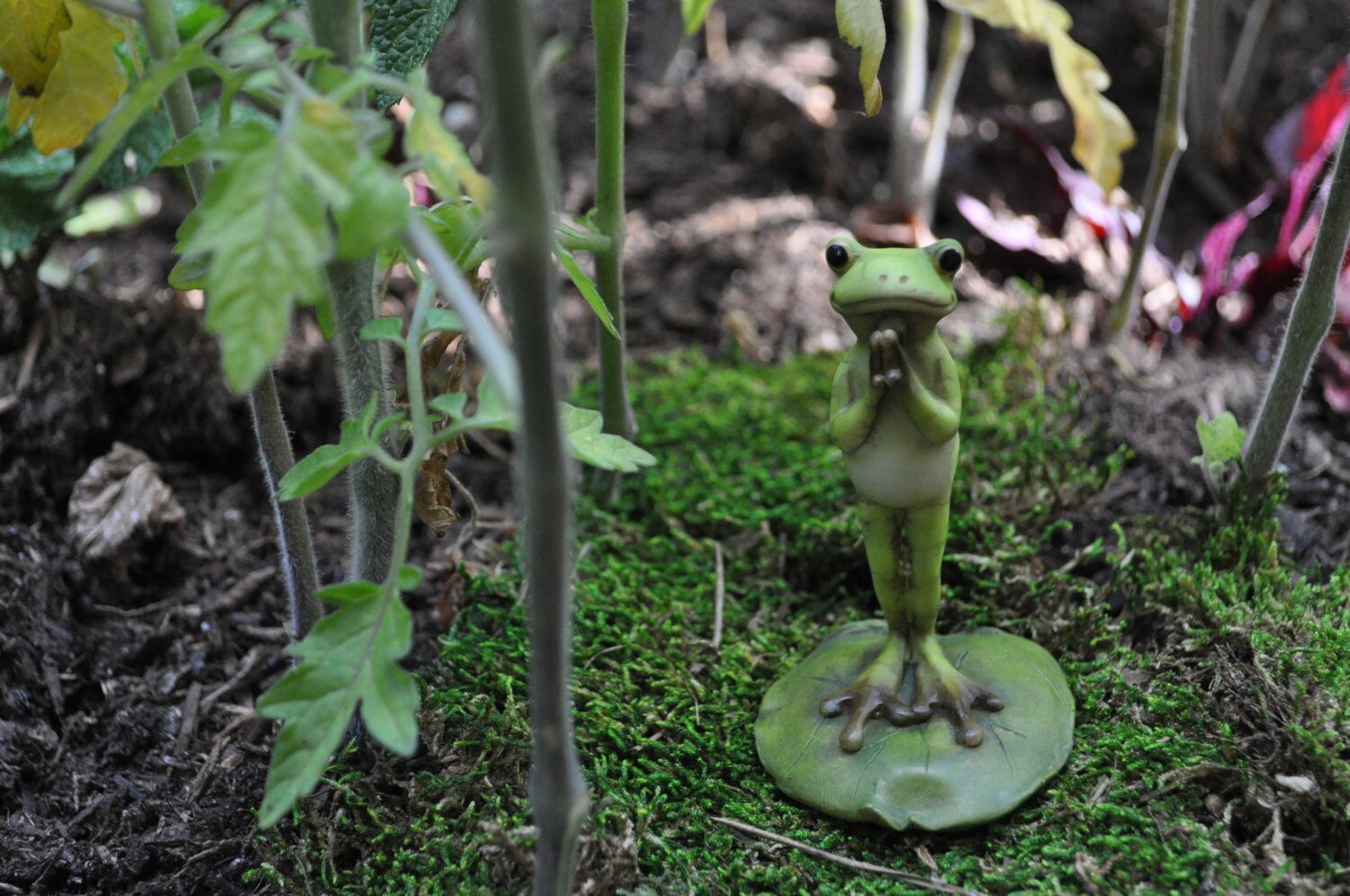 Yoga Frog Standing Namaste