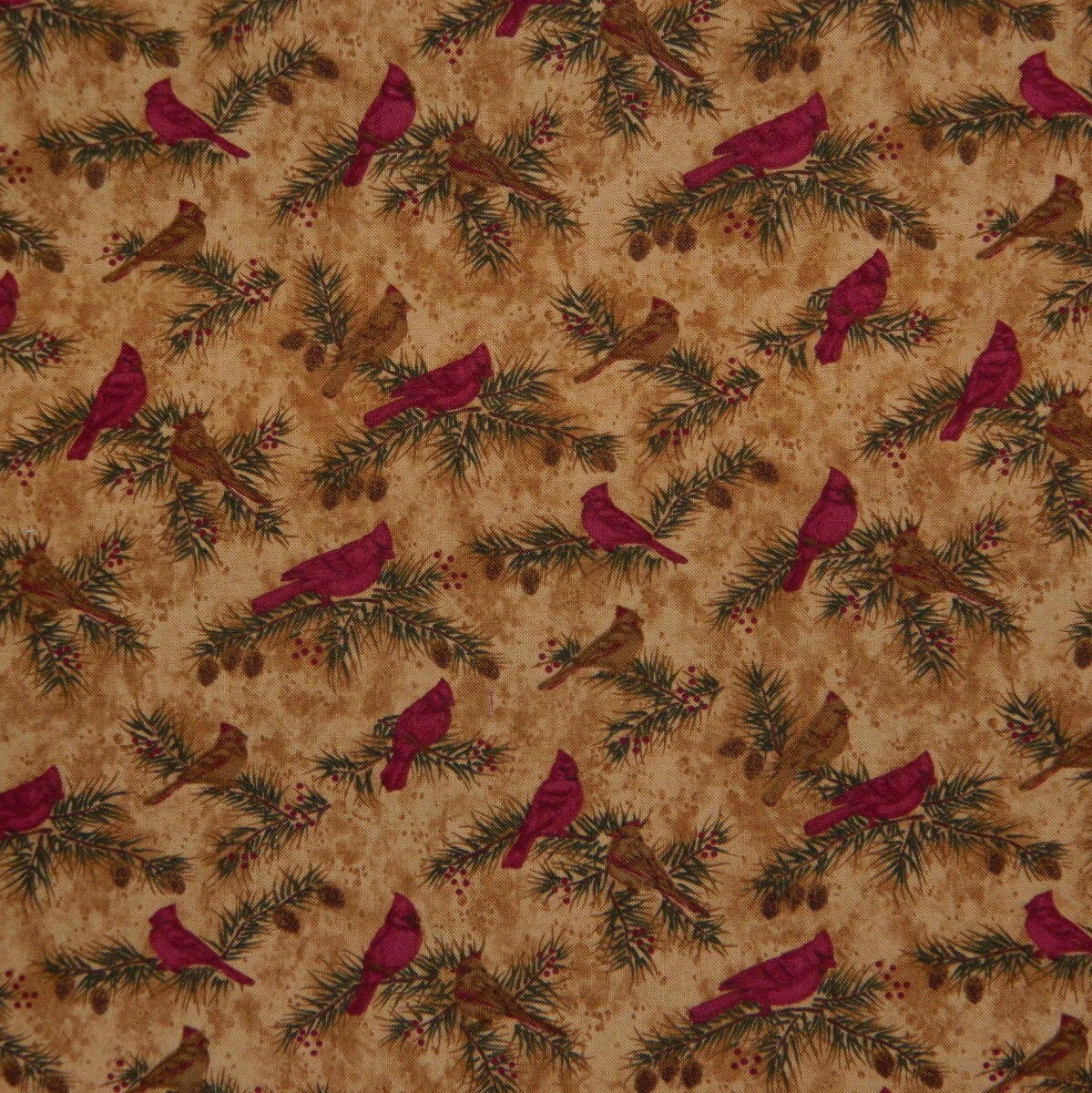 moda-fabric-cardinal-season-by-holly-taylor-one-inch