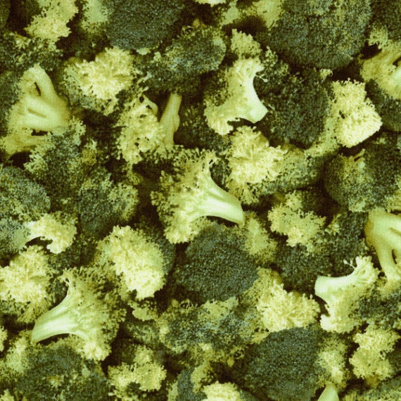 Broccoli Green Fabric / Green Broccoli Food Fabric