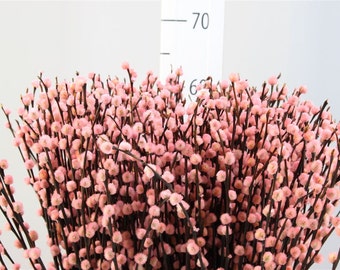 10-100 big branches of Pussywillow, dried pink pussywillow, home decor pussies, flower branch, dried catkins stems, dried flower arrangement