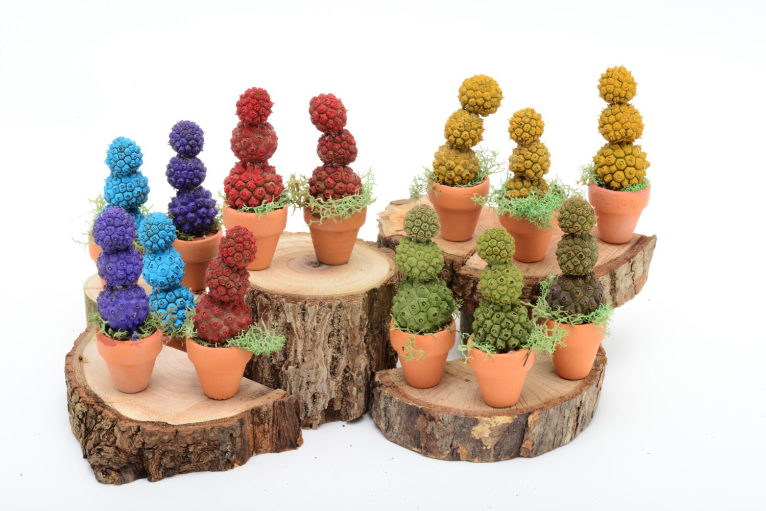 Fairy Door Miniature Seed Pod Plant Set of Two Eco Friendly