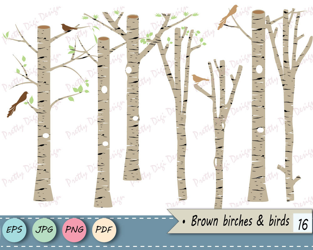 Download Brown Birch clipart Tree clipart Birch vector Birch PNG