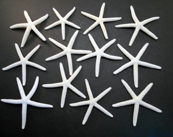 Starfish 3-4/" Beach Wedding Nautical Decor Craft Hobby Finger 100 White Pencil